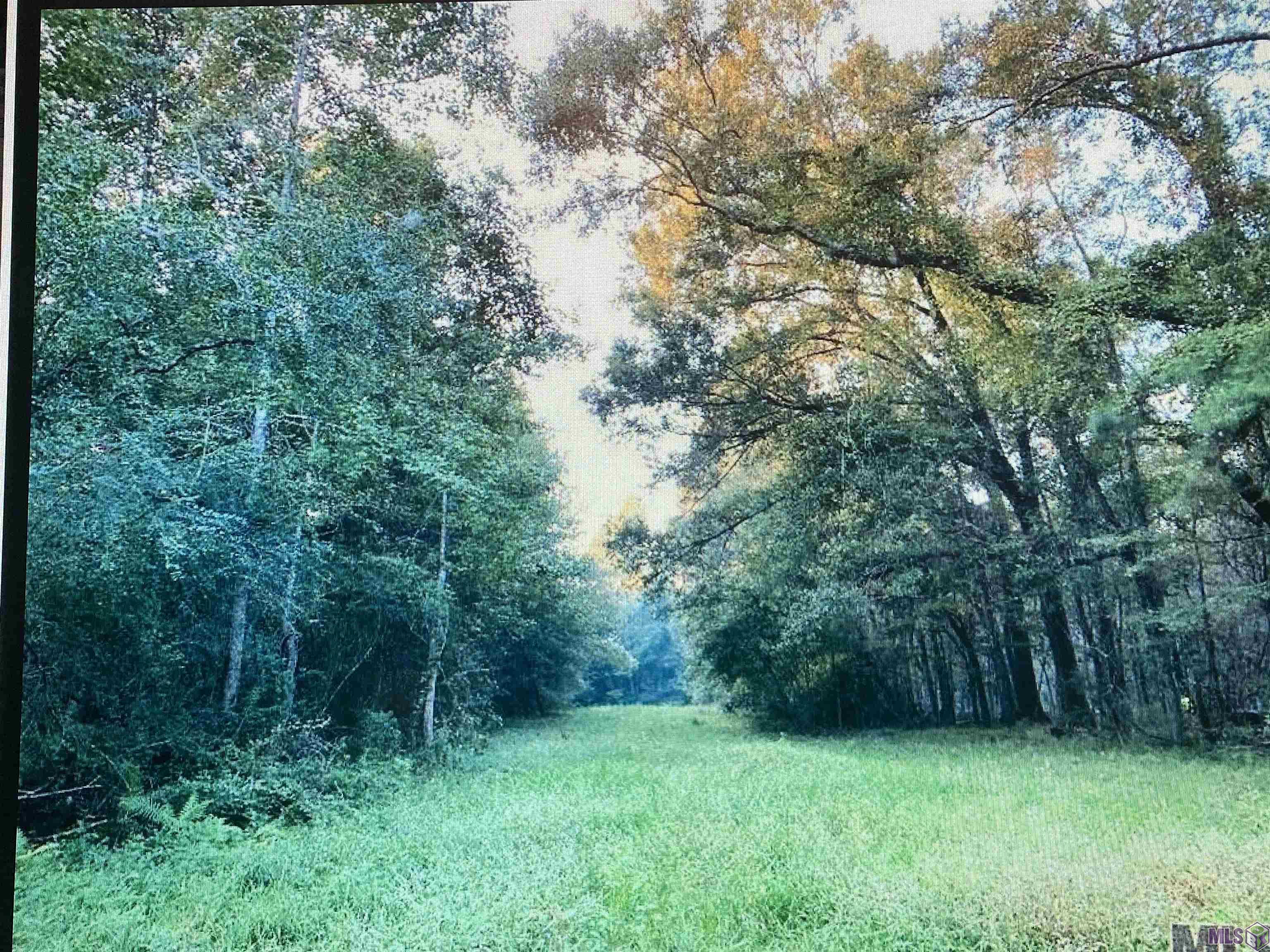 5901 Line Road Ethel, LA 70730 - Photo 2 of 5