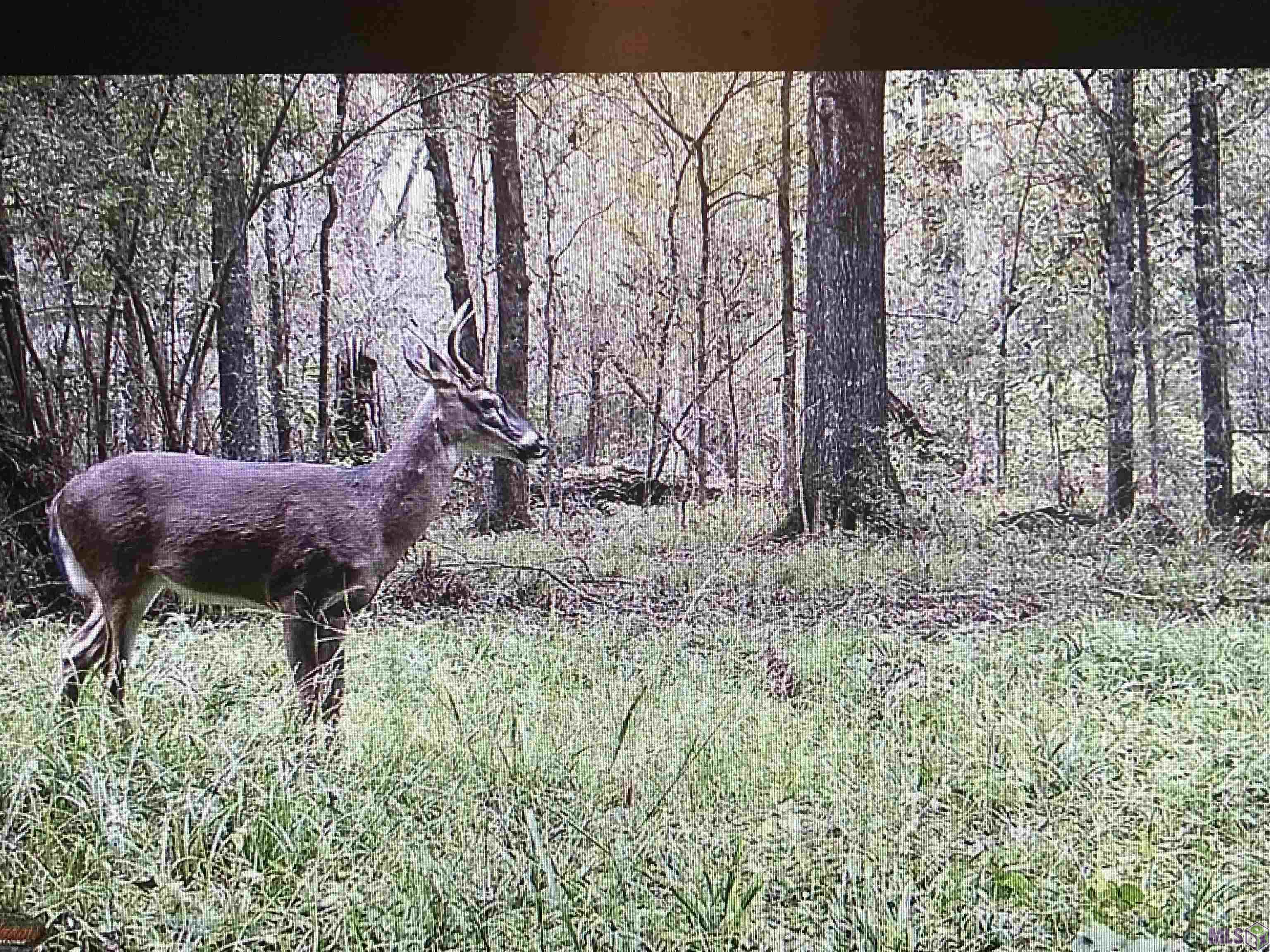 5901 Line Road Ethel, LA 70730 - Photo 3 of 5