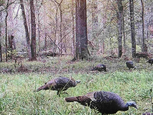 $115,000 | 5901 Line Road, Ethel, LA 70730