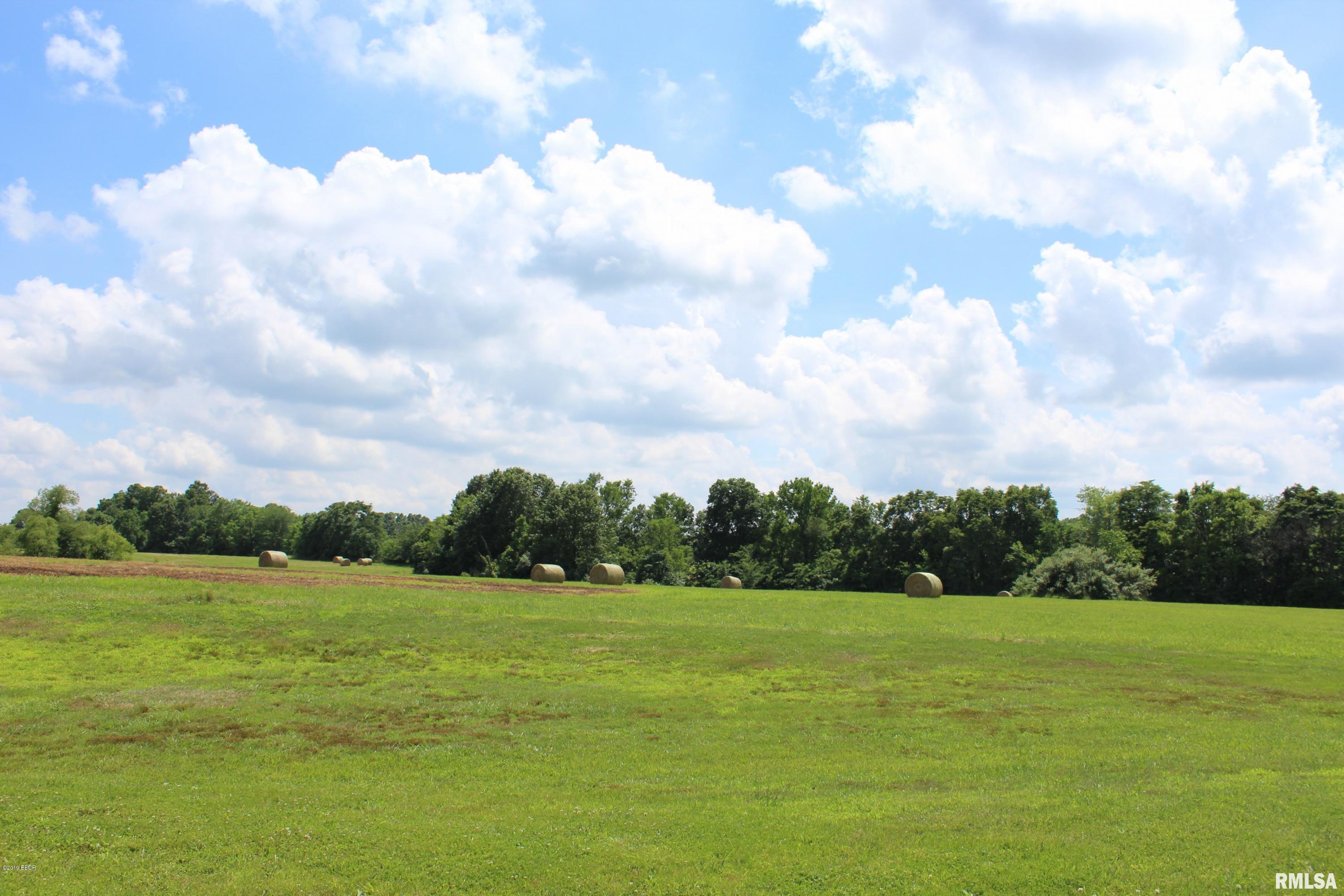 255 Mt Hebron Road Makanda, IL 62958 - Photo 12 of 14 Gallery Image 12