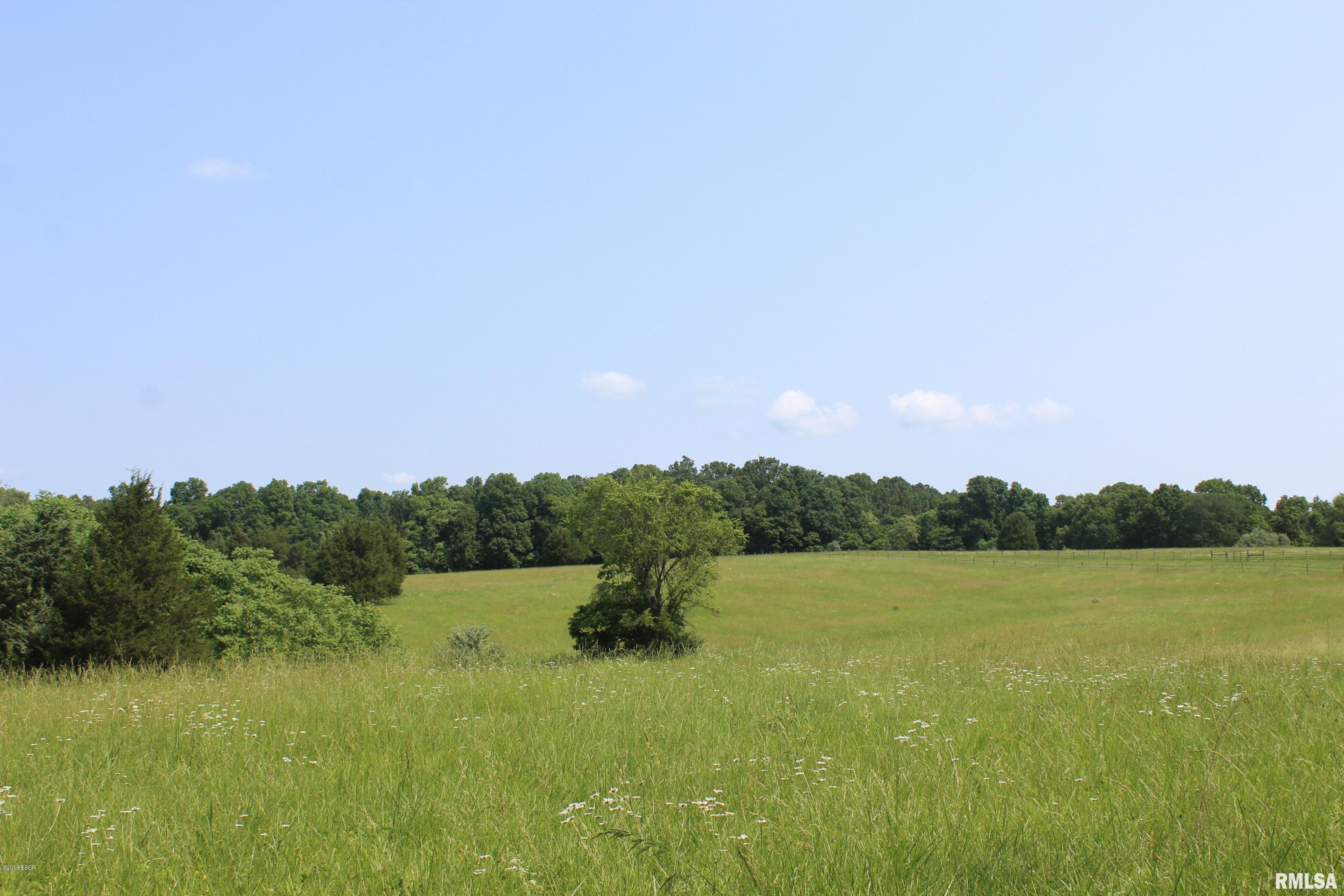255 Mt Hebron Road Makanda, IL 62958 - Photo 4 of 14 Gallery Image 4