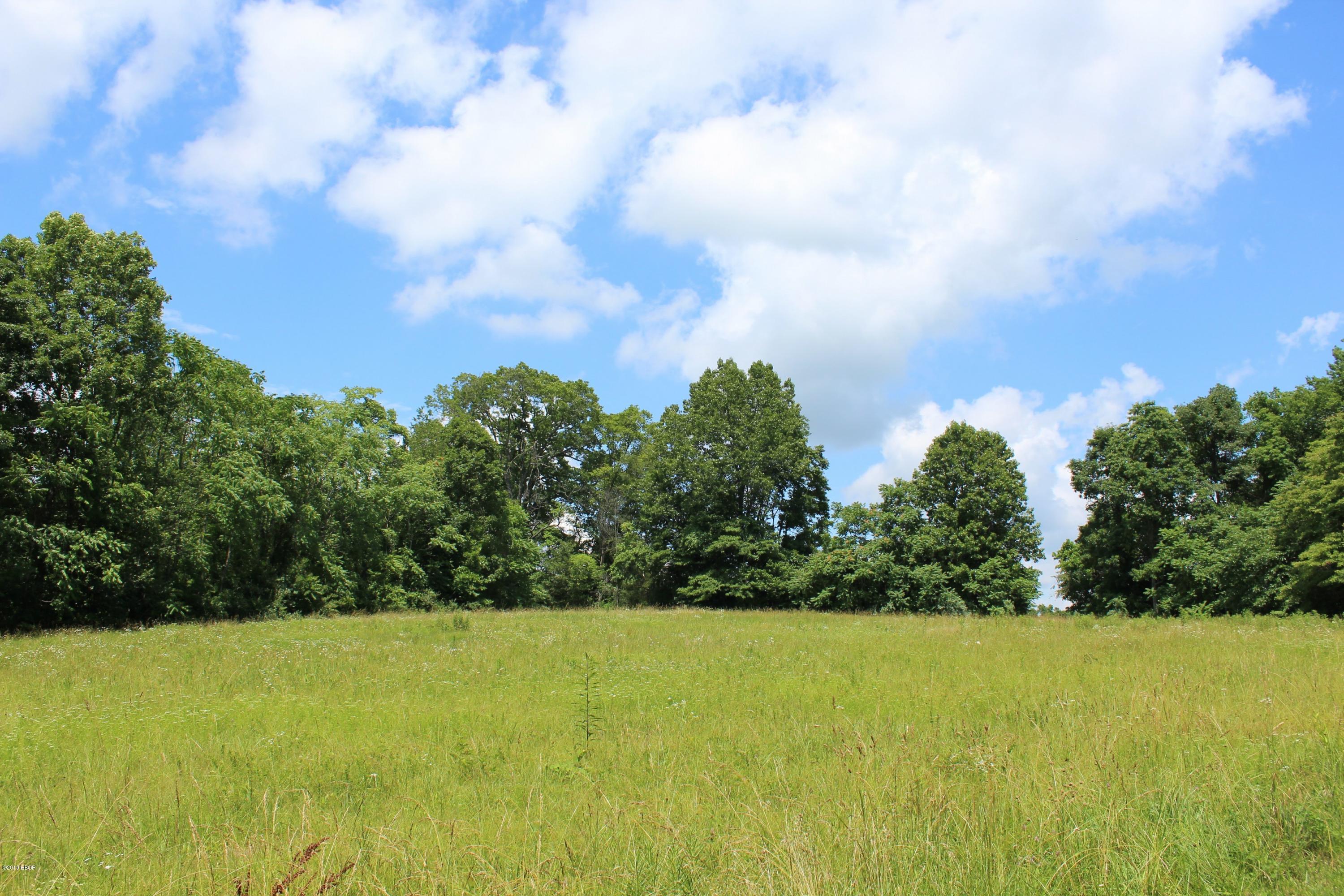 255 Mt Hebron Road Makanda, IL 62958 - Photo 10 of 14 Gallery Image 10
