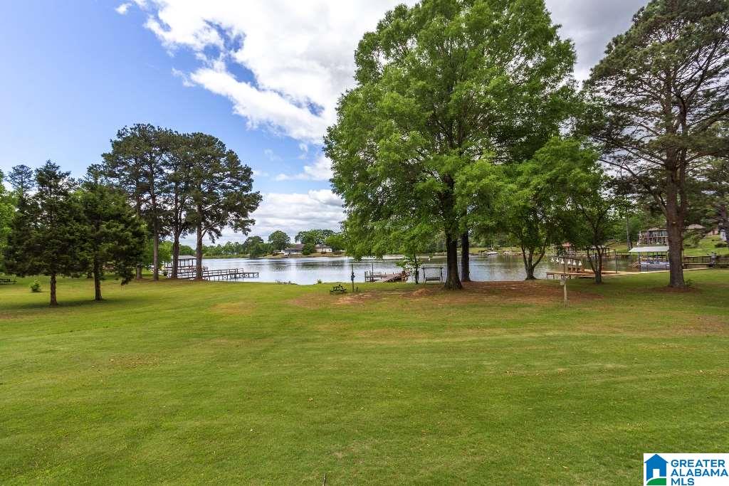 2305 Blue Springs Road Cropwell, AL 35054 - Photo 37 of 50
