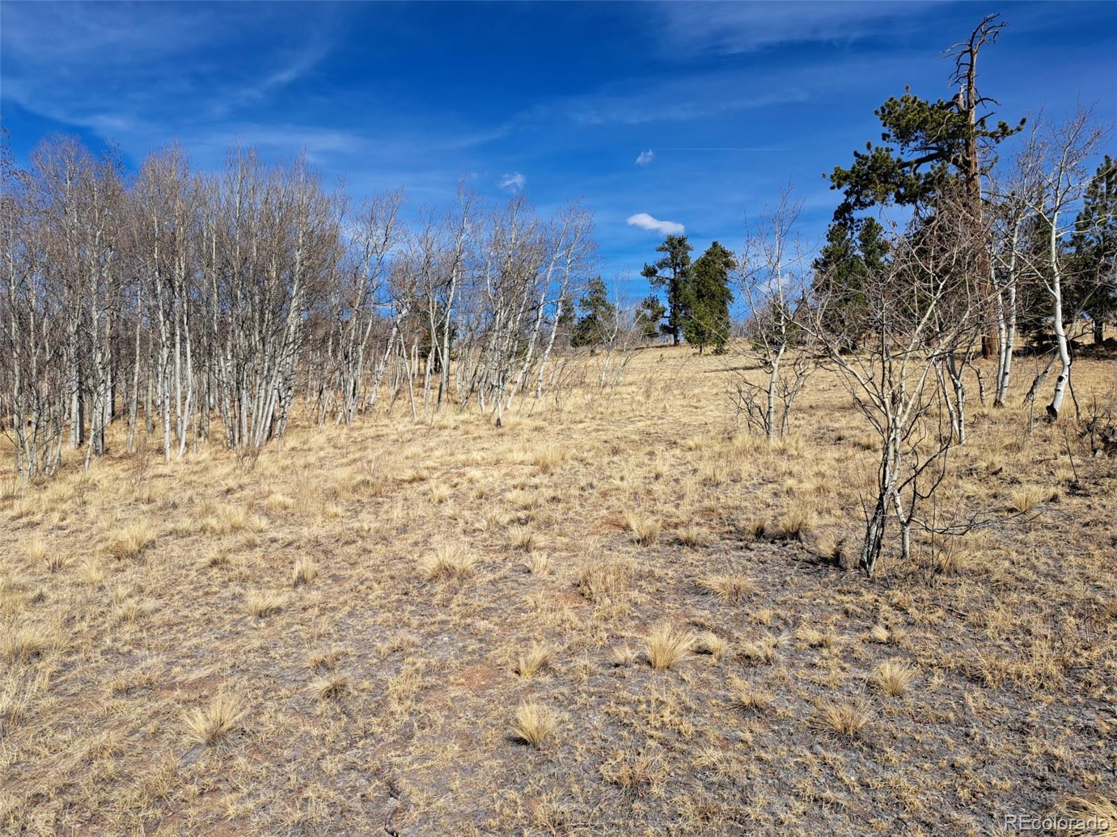 593 Pinto Trail Como, CO 80432 - Photo 11 of 21