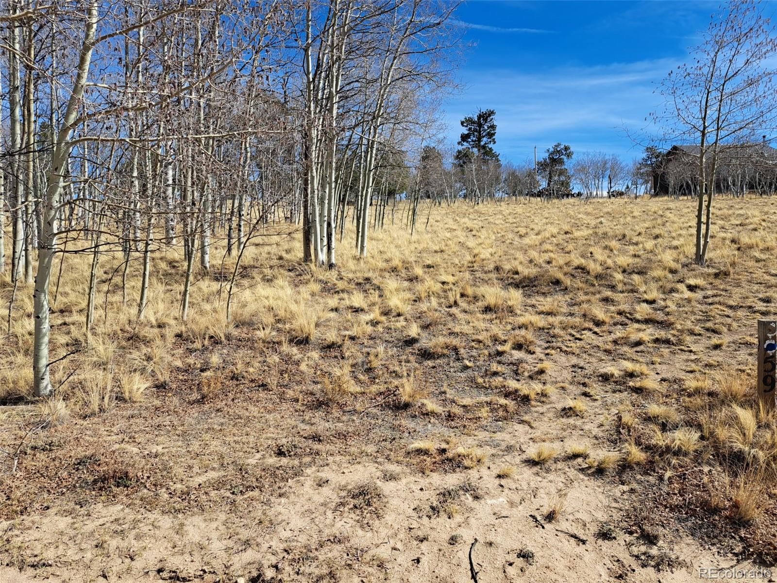 593 Pinto Trail Como, CO 80432 - Photo 12 of 21