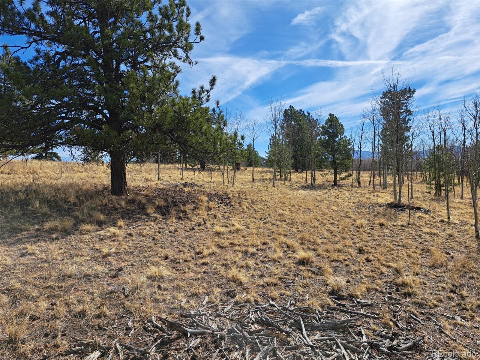 593 Pinto Trail Como, CO 80432 - Photo 7 of 21