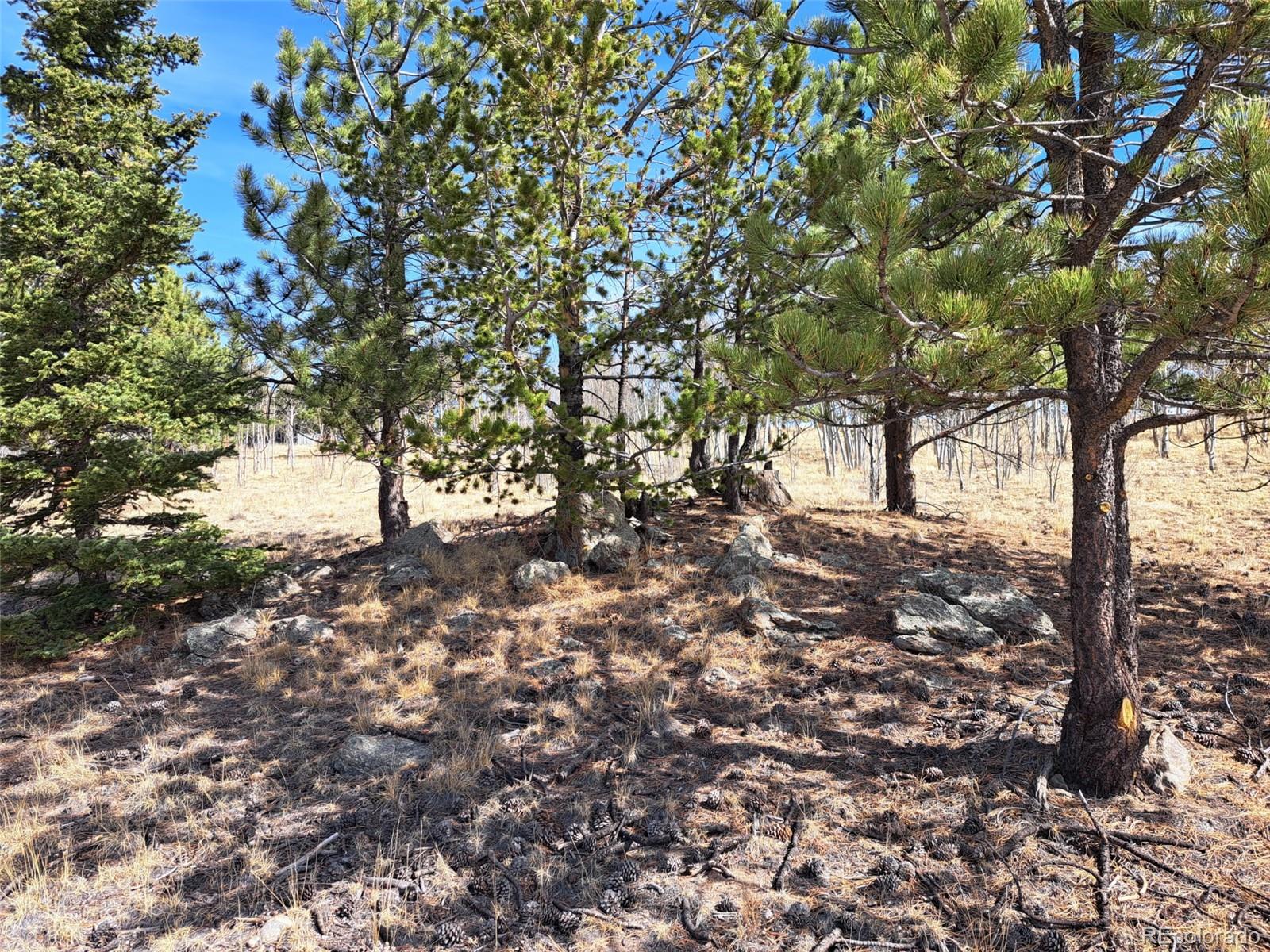 593 Pinto Trail Como, CO 80432 - Photo 8 of 21