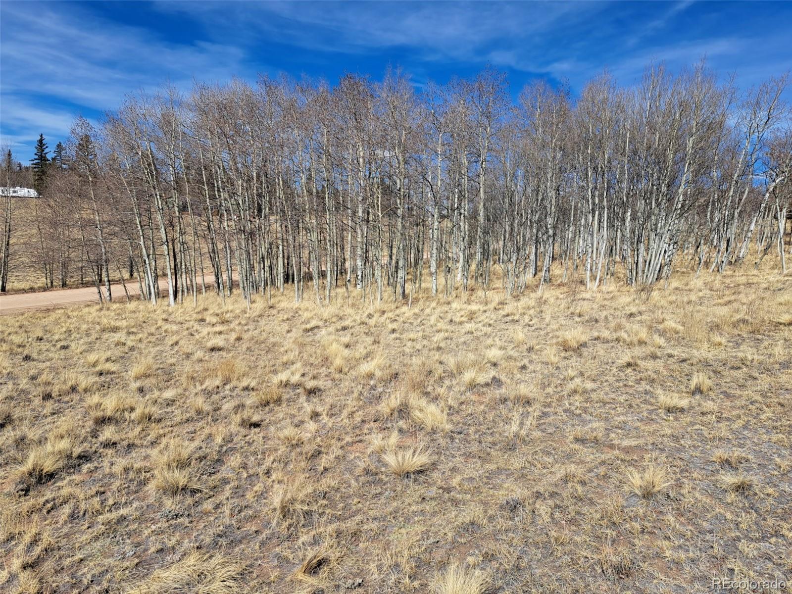 593 Pinto Trail Como, CO 80432 - Photo 10 of 21
