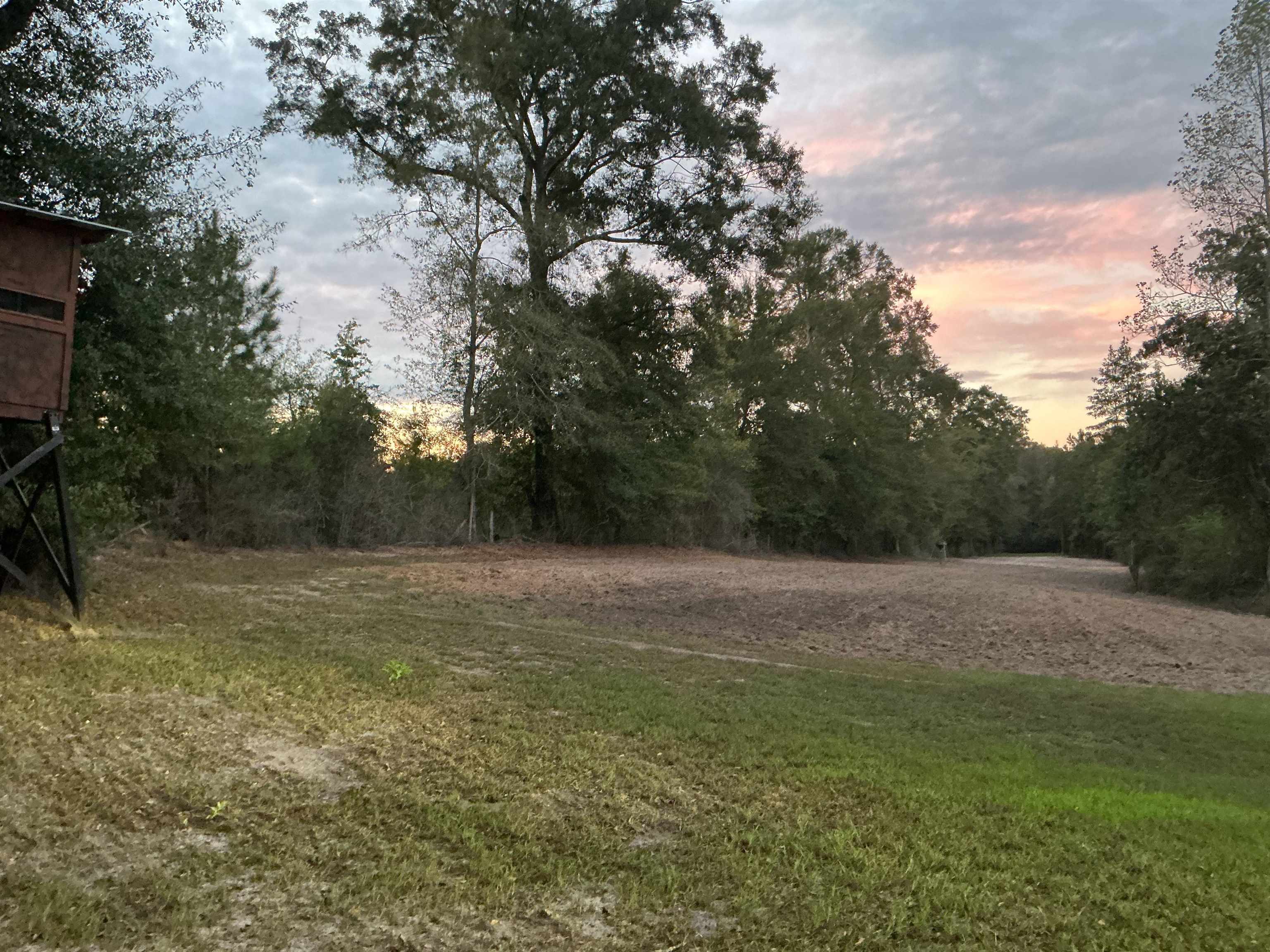 31769 Boston Road Dozier, AL 36028 - Photo 27 of 48 Gallery Image 27