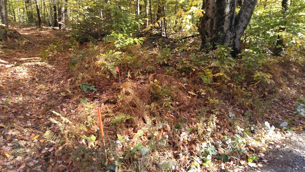 335 Hartland Road Tolland, MA 01034 - Photo 11 of 11 Gallery Image 11
