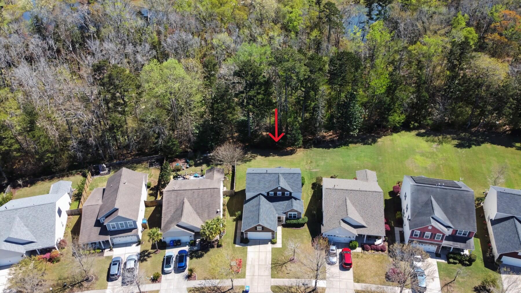 3274 Conservancy Lane Charleston, SC 29414 - Photo 47 of 52 2_DJI_0450