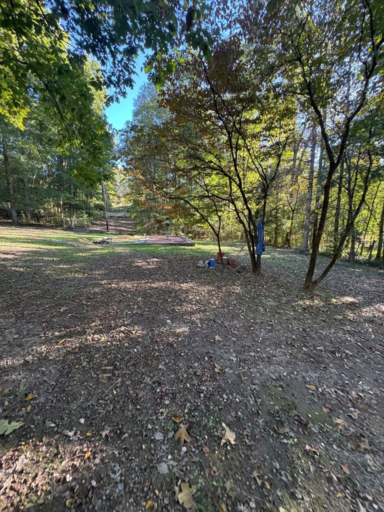 3422 Galloway Road Blue Ridge, GA 30513 - Photo 19 of 22 Gallery Image 19