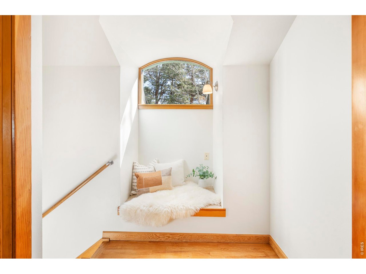 121 Leonards Road Boulder, CO 80302 - Photo 19 of 44 a view of living room with a rug and a potted plant