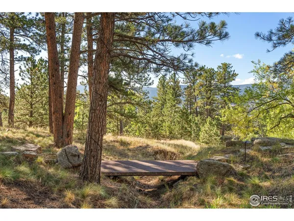 a view of outdoor space and yard