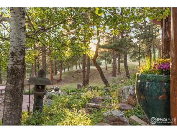 a view of outdoor space and yard