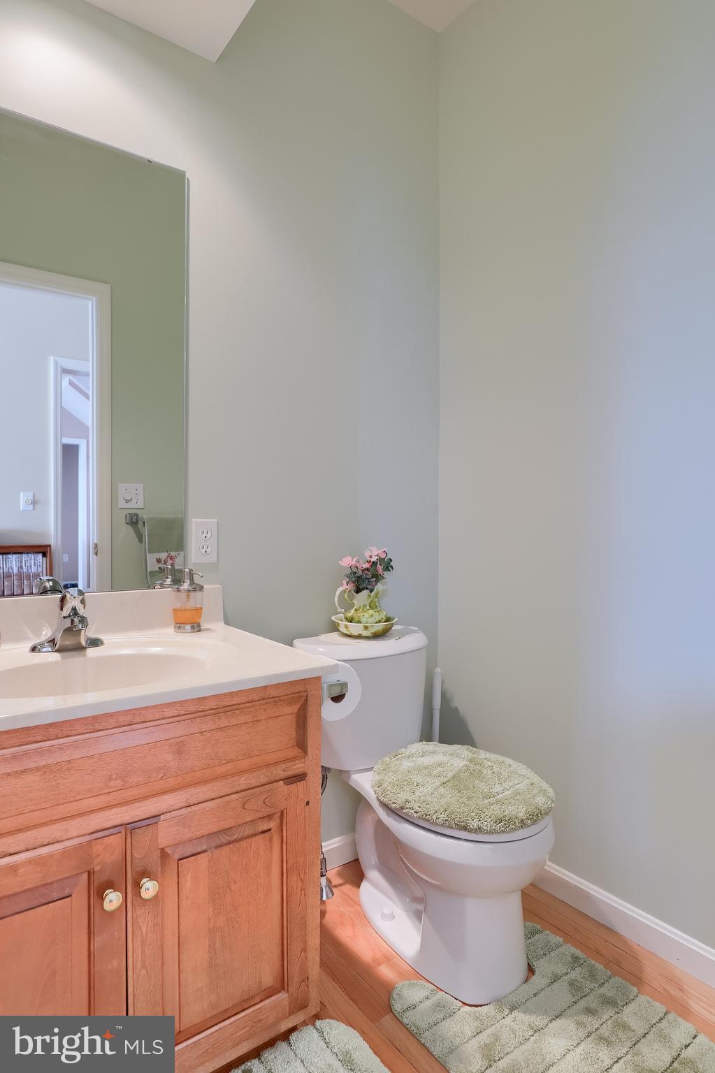 430 Wagonwheel Road Lititz, PA 17543 - Photo 16 of 51 a bathroom with a sink a toilet a mirror and vanity
