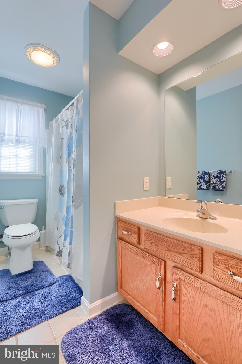 430 Wagonwheel Road Lititz, PA 17543 - Photo 36 of 51 a bathroom with a sink a toilet and shower