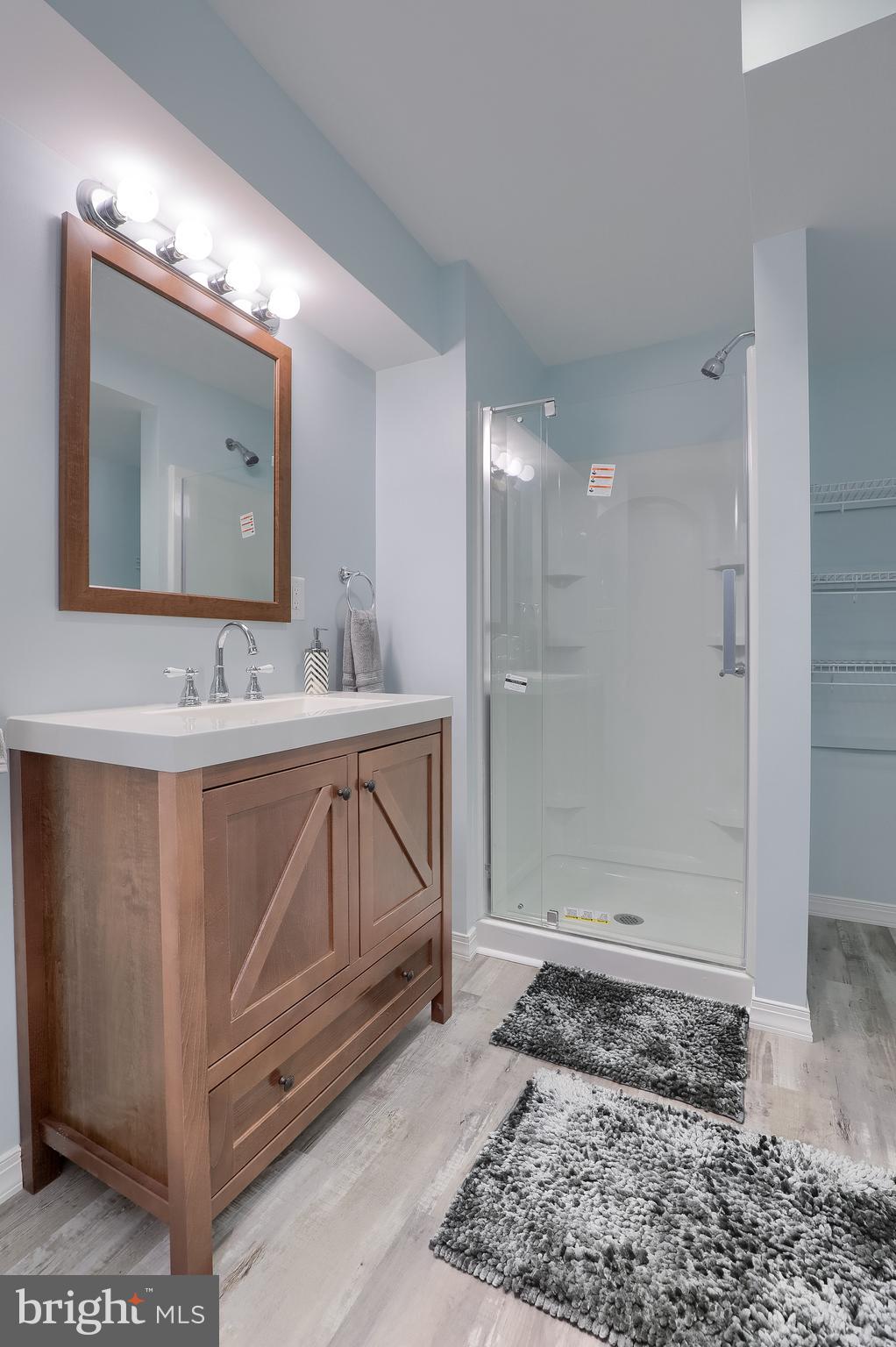 430 Wagonwheel Road Lititz, PA 17543 - Photo 46 of 51 a bathroom with a sink mirror and a shower