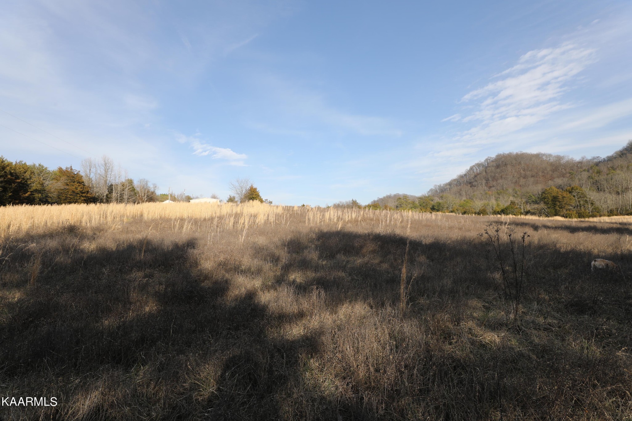 0 Sleepy Valley Road Madisonville, TN 37354 - Photo 4 of 24 Gallery Image 4