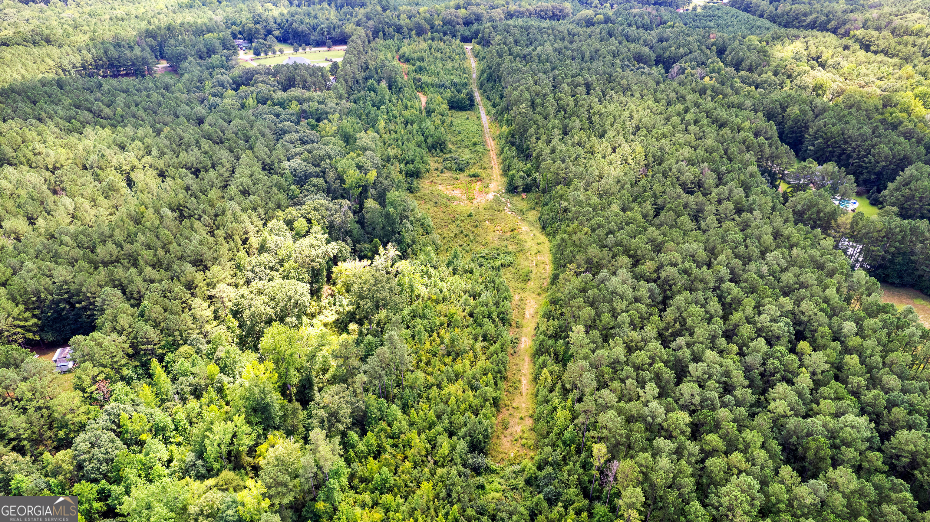 2860 Sewell Road Grantville, GA 30220 - Photo 4 of 12 a view of a forest with a tree
