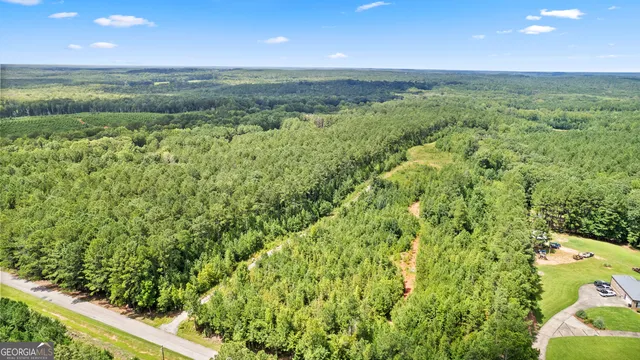 a close up of a plant in a garden
