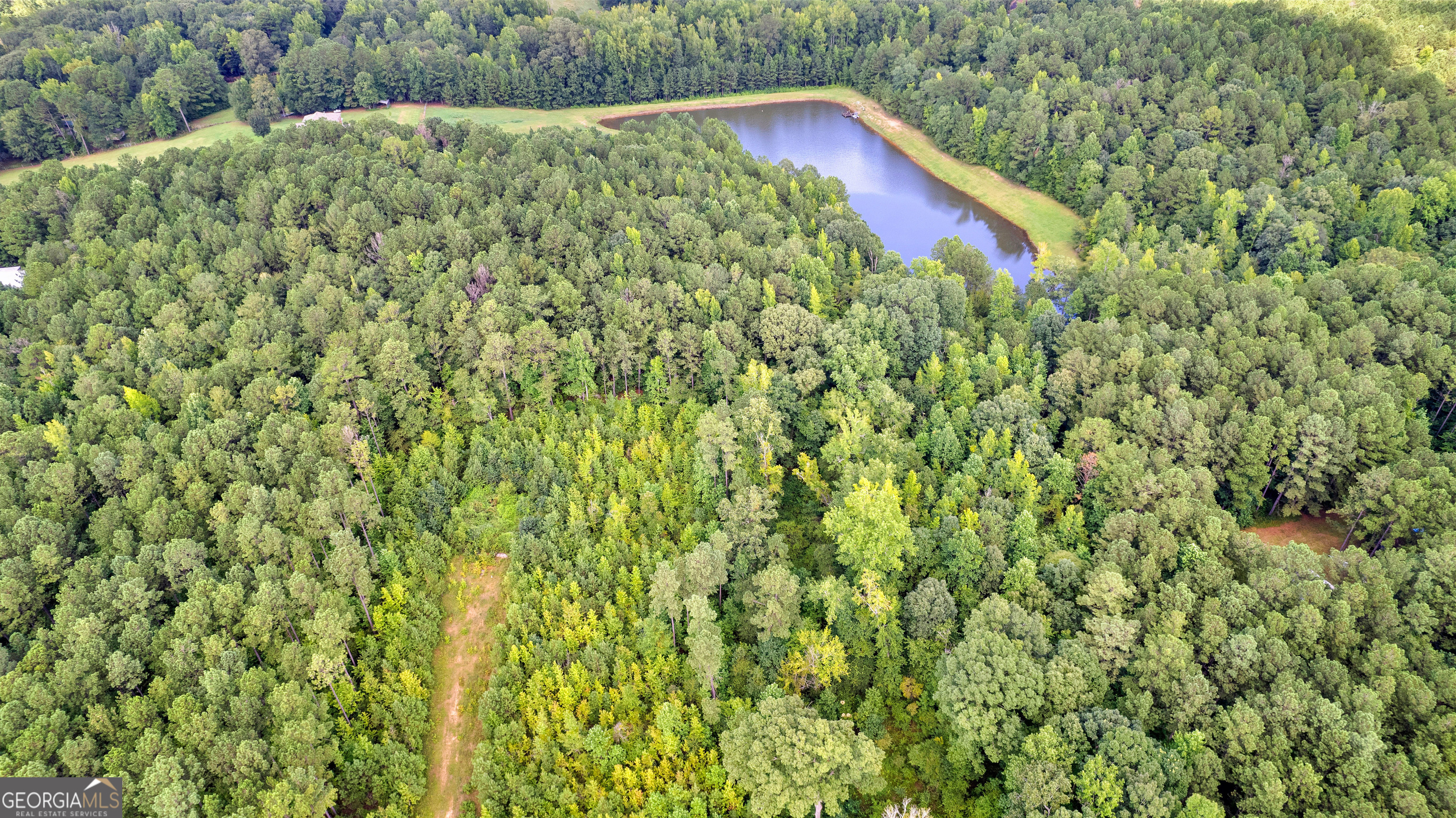 2860 Sewell Road Grantville, GA 30220 - Photo 6 of 12 a close up of a plant in a garden