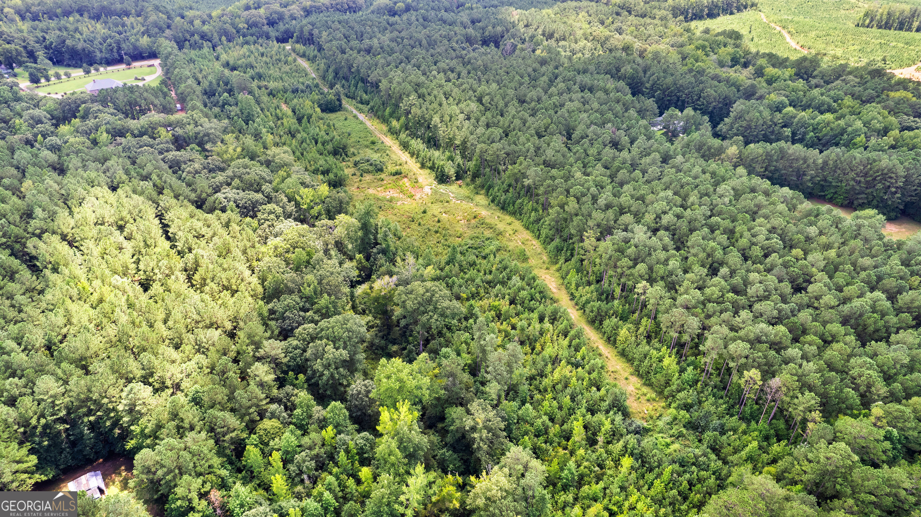2860 Sewell Road Grantville, GA 30220 - Photo 7 of 12 a view of a forest with a tree