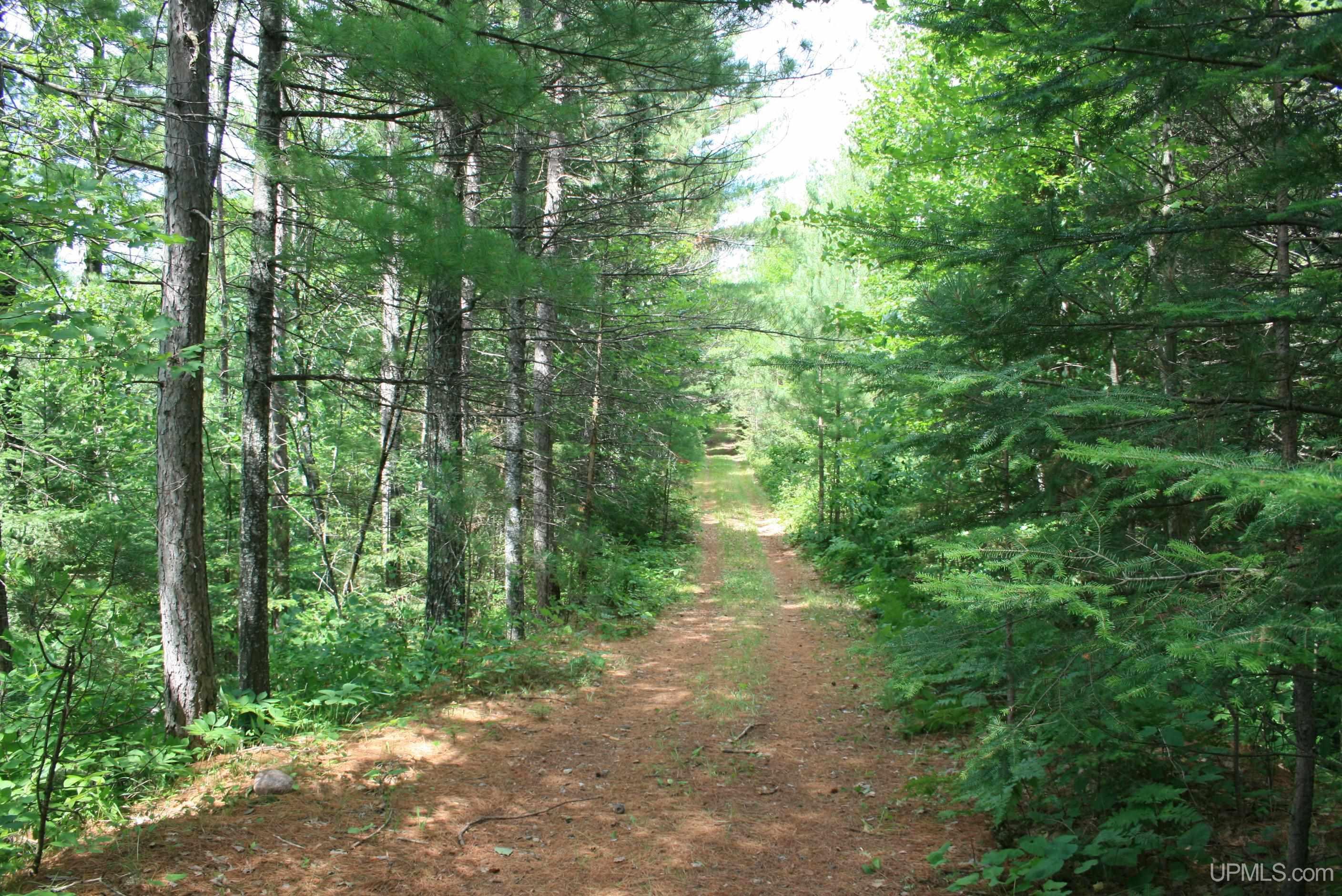 Tbd Sucker Lake Road Watersmeet, MI 49969 - Photo 8 of 24