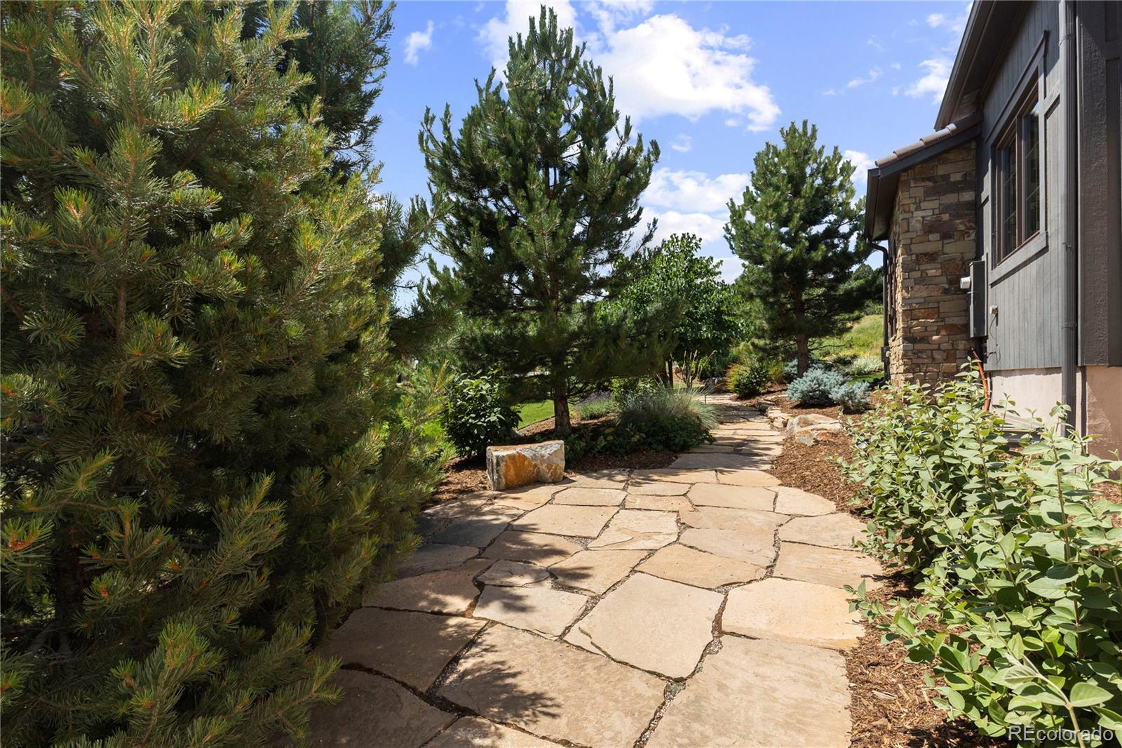 8000 Raphael Lane Littleton, CO 80125 - Photo 43 of 47 a pathway of a yard