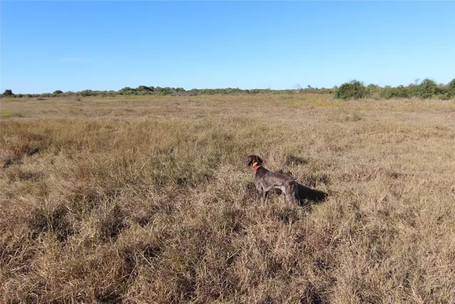 a view of a field and mountains in the background