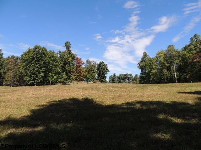 463-489 Slab Cp Road Independence, WV 26374 - Photo 46 of 49 Gallery Image 46