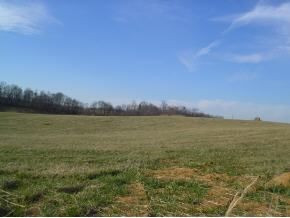 0 Earnest Road Chuckey, TN 37641 - Photo 1 of 1 Photo 1