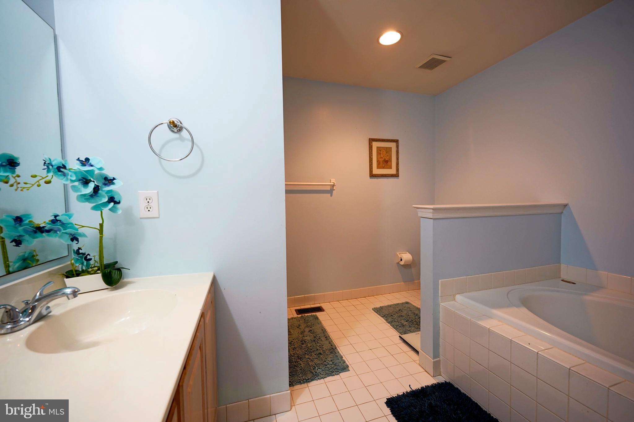 8 Saw Mill Drive Mount Laurel, NJ 08054 - Photo 27 of 37 a bathroom with a tub sink and mirror