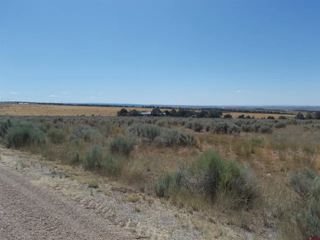 a view of a dry field with trees in the background