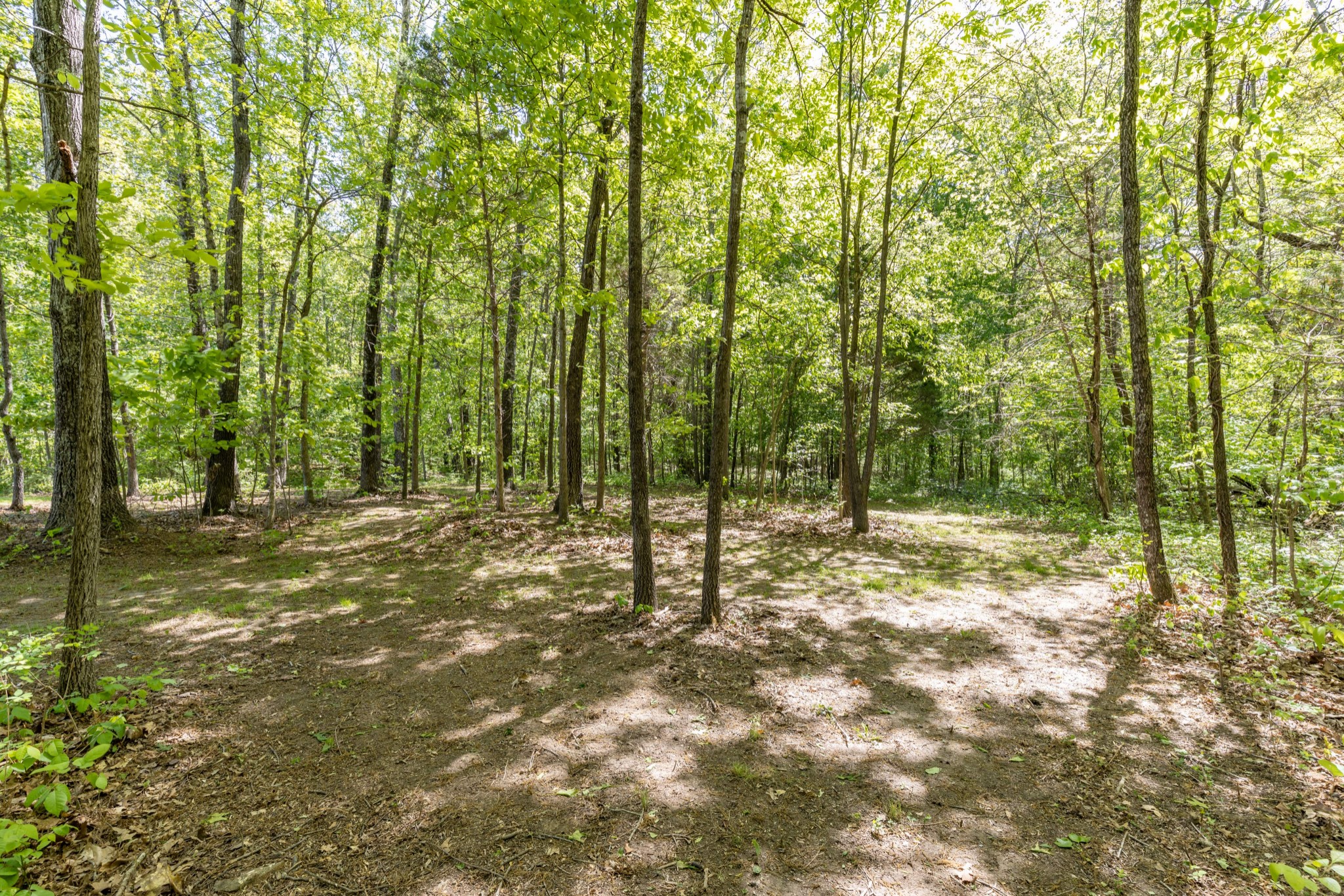 204 Wilkinson Road Cottontown, TN 37048 - Photo 43 of 63 Gallery Image 43