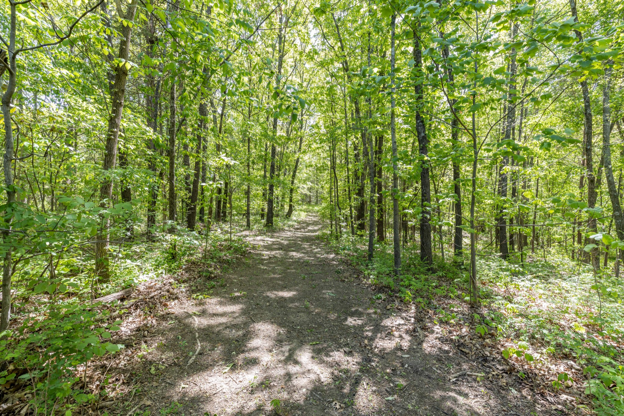 204 Wilkinson Road Cottontown, TN 37048 - Photo 44 of 63 Gallery Image 44