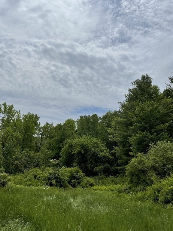 82 Bromley Road Huntington, MA 01050 - Photo 2 of 13 a view of a lush green space
