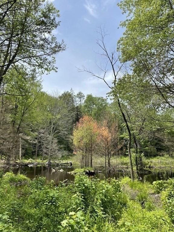 82 Bromley Road Huntington, MA 01050 - Photo 3 of 13 a view of a garden