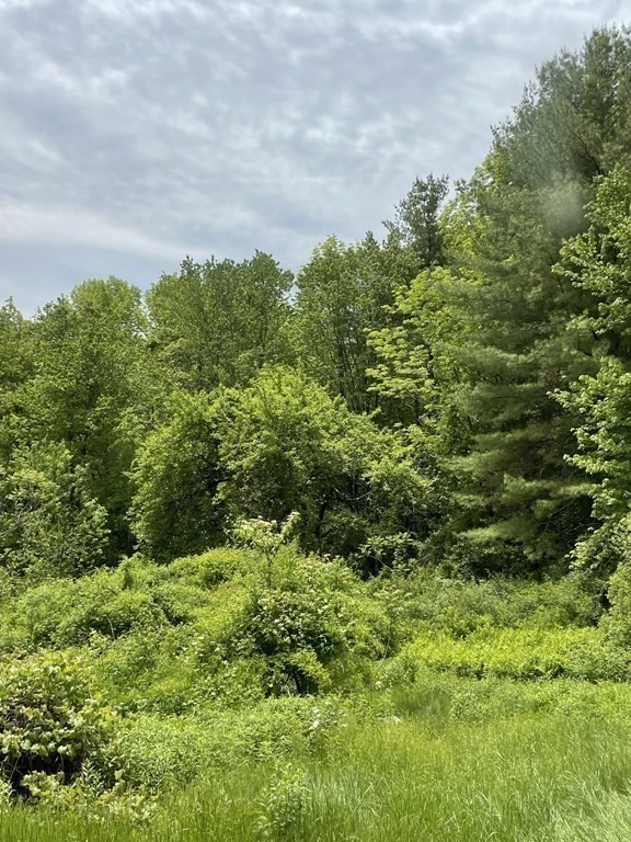 82 Bromley Road Huntington, MA 01050 - Photo 8 of 13 a view of a green field