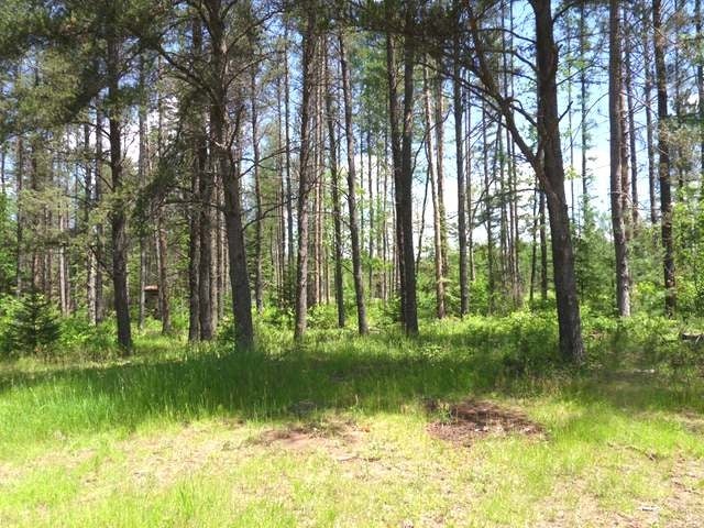 On Sun Prairie Road Rhinelander, WI 54501 - Photo 9 of 16 Gallery Image 9