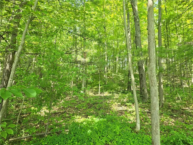 $17,499 | 0 Warren Road, Middlesex, NY 14507