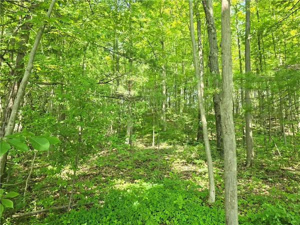 $17,499 | 0 Warren Road, Middlesex, NY 14507