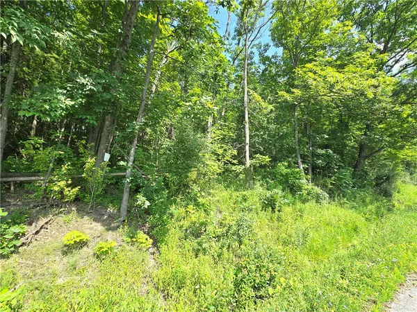 $17,499 | 0 Warren Road, Middlesex, NY 14507