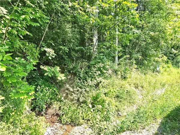 $17,499 | 0 Warren Road, Middlesex, NY 14507