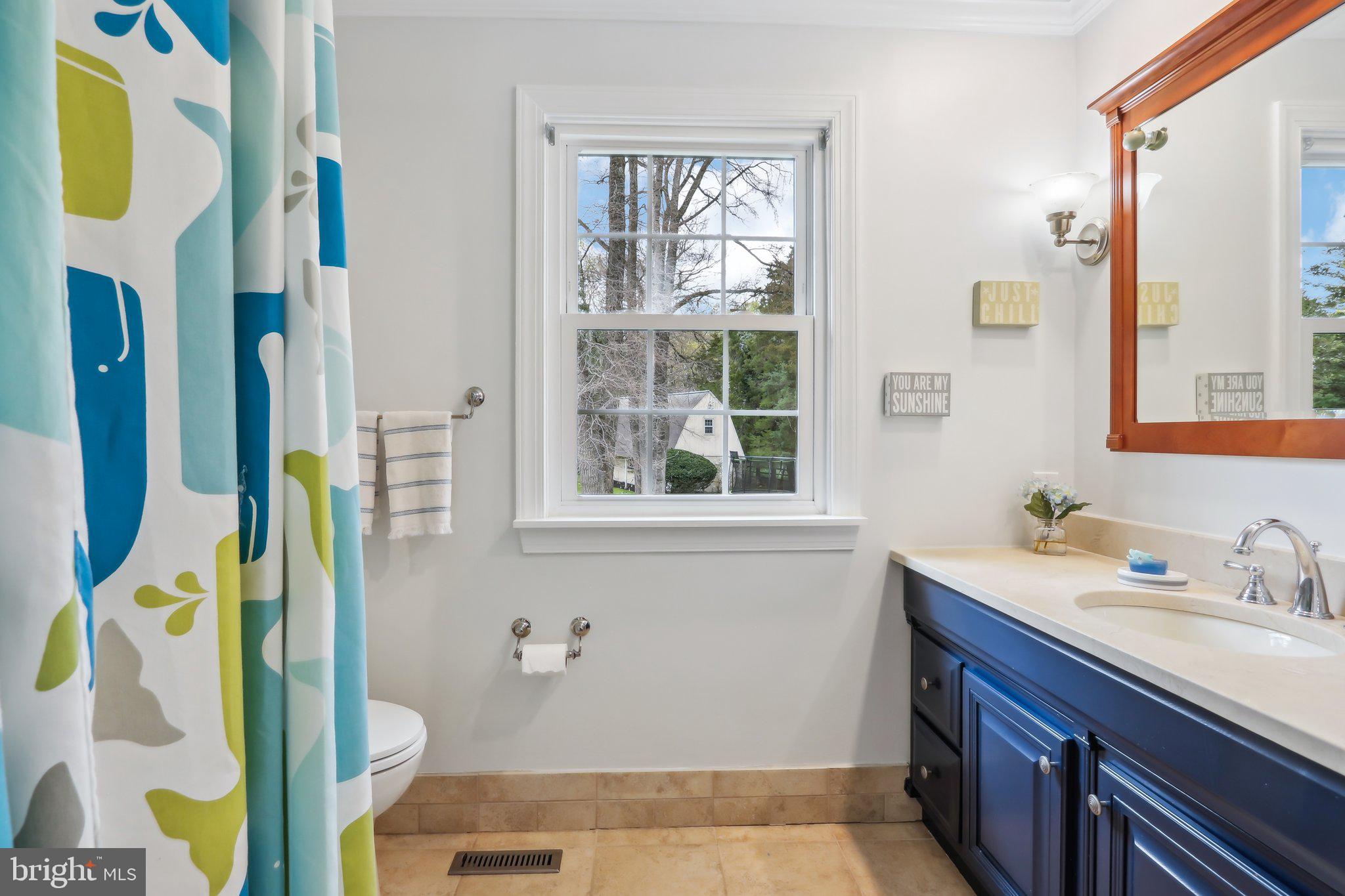 410 North Valley Forge Road Devon, PA 19333 - Photo 50 of 84 a bathroom with a sink and a mirror