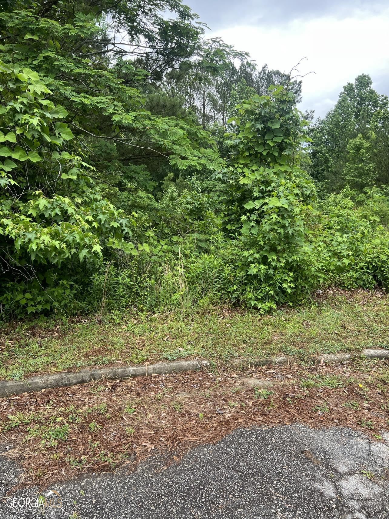 1102 Elysian Park Atlanta, GA 30331 - Photo 1 of 1 a view of a yard with a tree