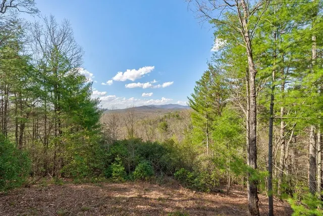 $699,000 | 425 Rhonda Lane, Mineral Bluff, GA 30559