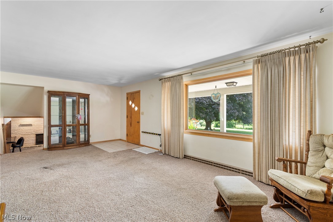 22840 Buck Road Alliance, OH 44601 - Photo 6 of 36 Sitting room with carpet flooring, a fireplace, and a baseboard radiator
