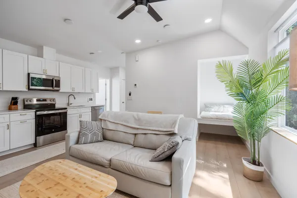 a living room with furniture and a potted plant