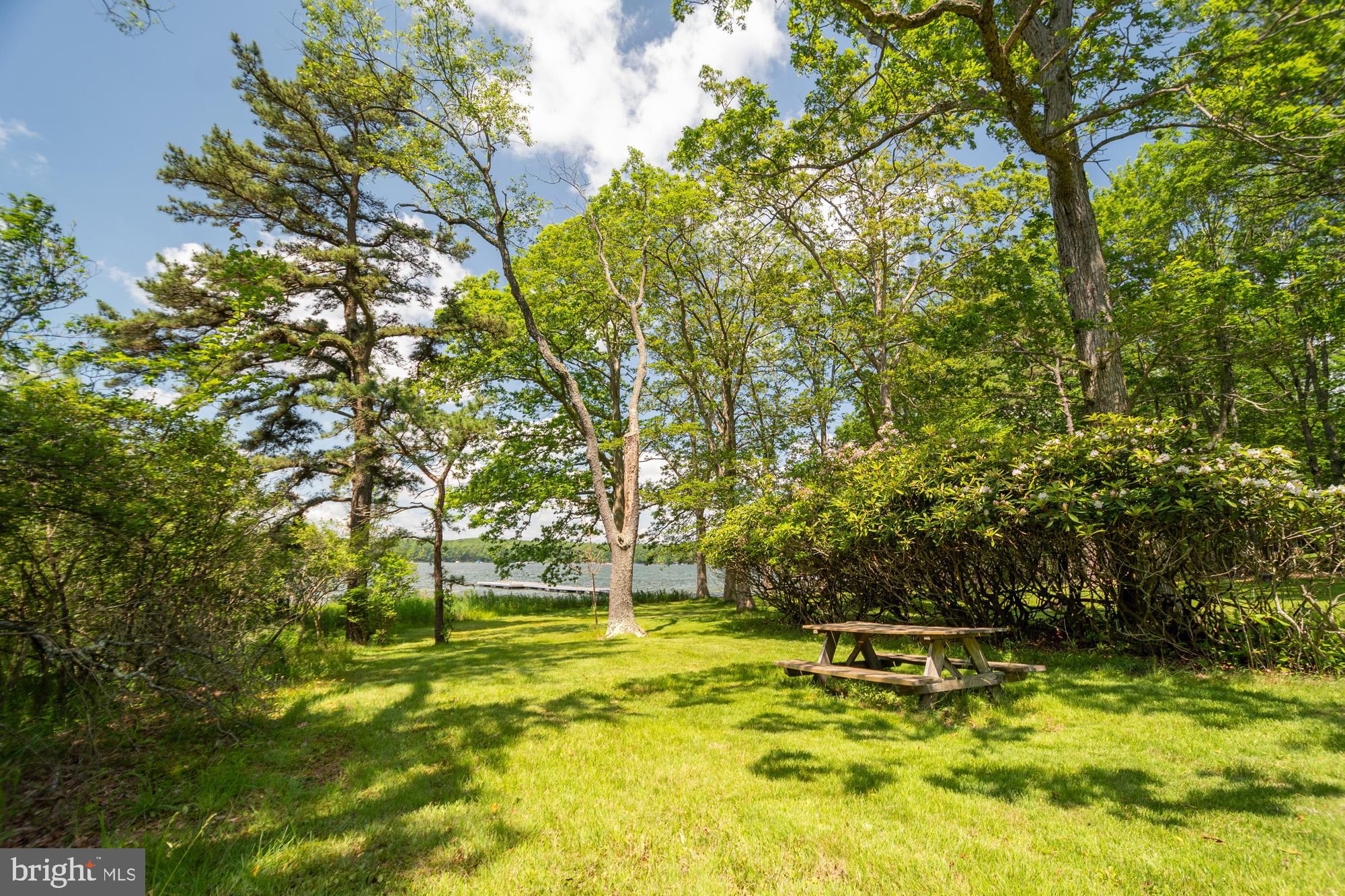 2895 Turkey Neck Road Swanton, MD 21561 - Photo 6 of 62